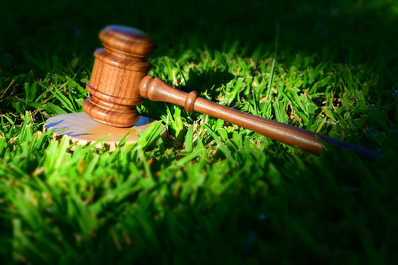 MEDIO AMBIENTE Y EL DERECHO